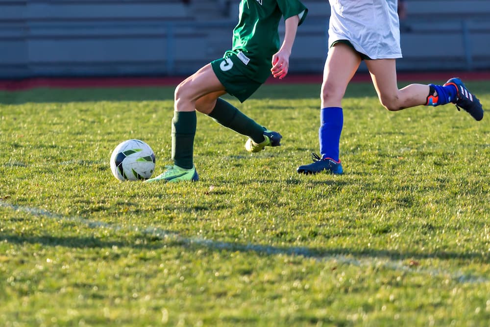 Anterior Cruciate Ligament (ACL)